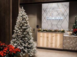 Lumiere Interior Design by Piatt Interior Design