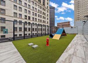 Lumiere Interior Design by Piatt Interior Design